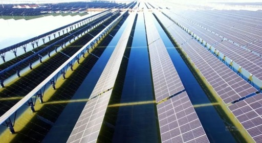 山東?；胶忭?xiàng)目