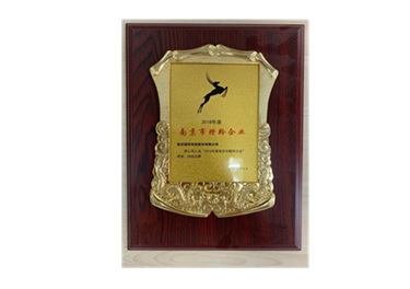 南京市瞪羚企業(yè)